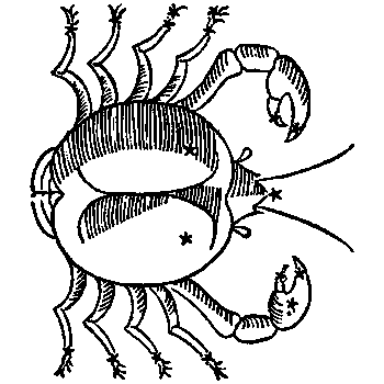Cancer-Crab