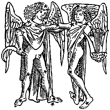 Gemini-Twins