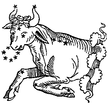 Taurus, illustration from a 1482 edition of a book by Hyginus.