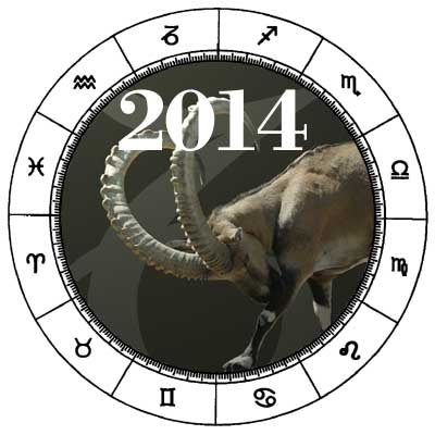 Capricorn 2014 Horoscope