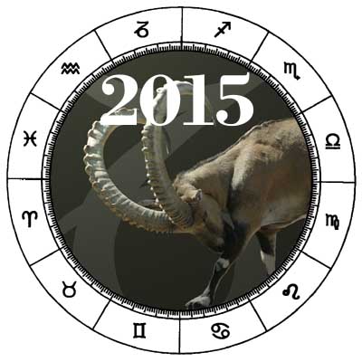 Capricorn 2015 Horoscope