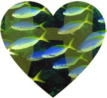 piscesheart