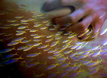 piscessexhoroscope